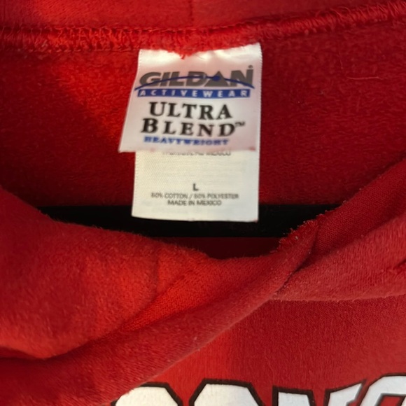 Wisconsin Bucky Badger Large Hoodie Sweatshirt - Picture 3 of 3